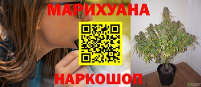 стафф Краснокаменск