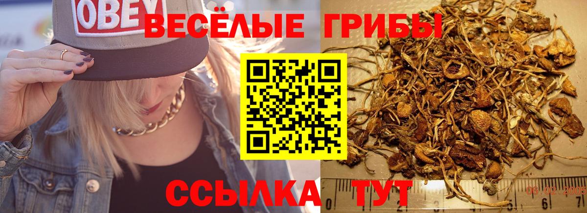 Галлюциногенные грибы мицелий Шелехов