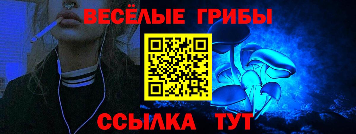 Псилоцибиновые грибы Psilocybe  Псилоцибиновые грибы Magic Shrooms  Шелехов  Вход с VPN 