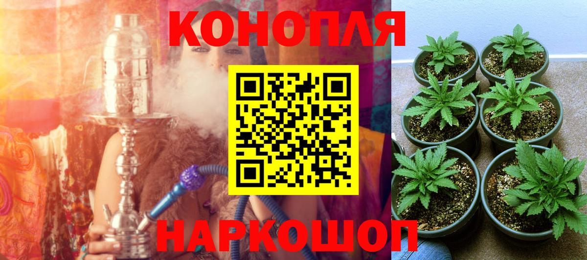 Шелехов  Конопля планчик  Марихуана тримм  Вход с VPN  Конопля SATIVA & INDICA 